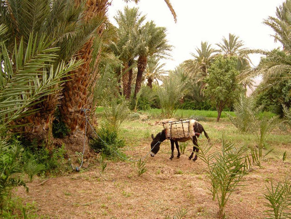 Kasbah Itrane Acomodação com café da manhã Tamnougalt Exterior foto